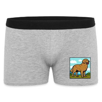 Golden Retriever - Männer Boxer Shorts - Grau meliert - Vorne