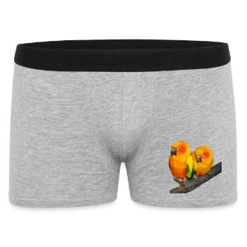 Oiseaux - Boxer Homme - gris chiné - Devant