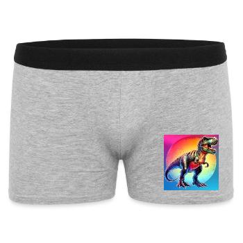 Dinosaurier - Männer Boxer Shorts - Grau meliert - Vorne