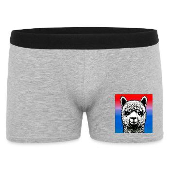 Alpaga - Boxer Homme - gris chiné - Devant