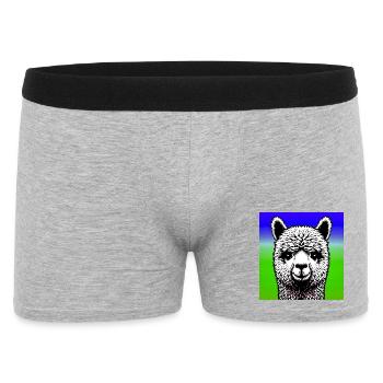 Alpaga - Boxer Homme - gris chiné - Devant