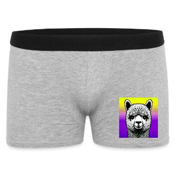 Alpaga - Boxer Homme - gris chiné - Devant