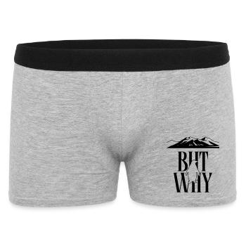 But Why Penguin Meme Minimalist Art - Männer Boxer Shorts - Grau meliert - Vorne