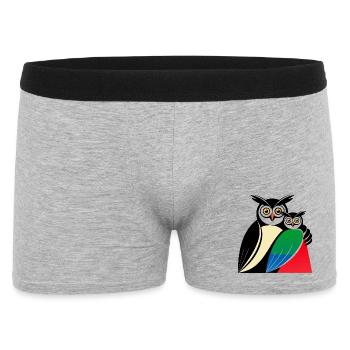 Motif hibou - Boxer Homme - gris chiné - Devant