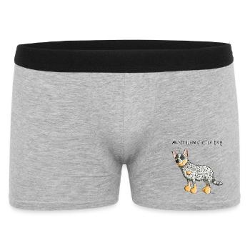 Bouvier Australien - Australian Cattle Dog - Boxer Homme - gris chiné - Devant
