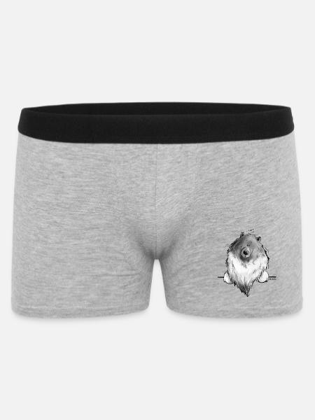 Funny Wolfsspitz I Comic Dog Gift - Men's Boxer Shorts - heather grey