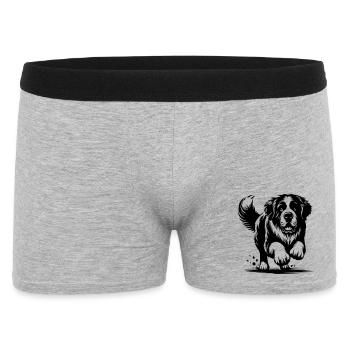 Saint Bernard - Men's Boxer Shorts - heather grey - Front