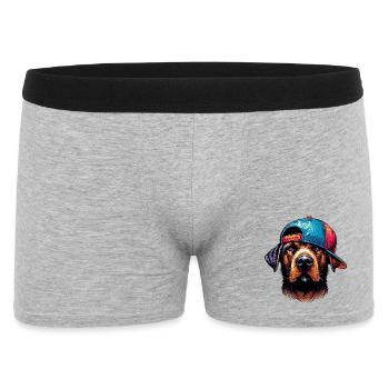 Chien - Boxer Homme - gris chiné - Devant