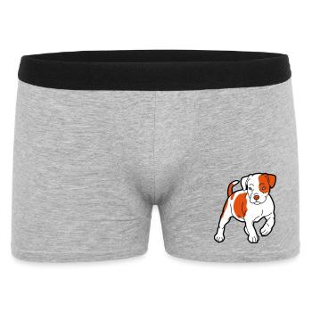 American Staffordshire Terrier - Boxer Homme - gris chiné - Devant