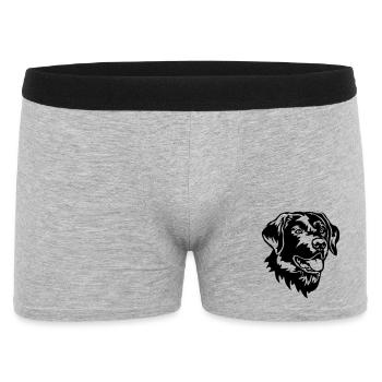Labrador Kopf - Männer Boxer Shorts - Grau meliert - Vorne