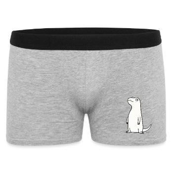 Dino excentrique - Boxer Homme - gris chiné - Devant