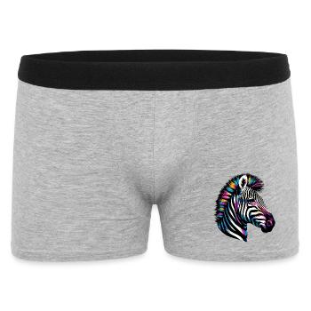 Zèbre - Boxer Homme - gris chiné - Devant