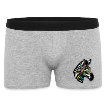 Zèbre - Boxer Homme - gris chiné - Devant