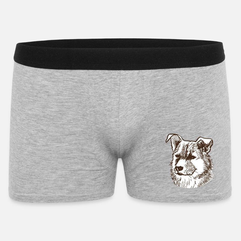 Cane - Boxer da uomo - grigio melange