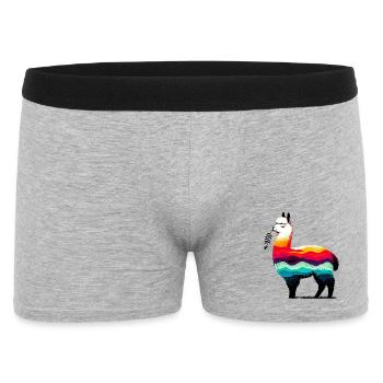 Alpaga - Boxer Homme - gris chiné - Devant