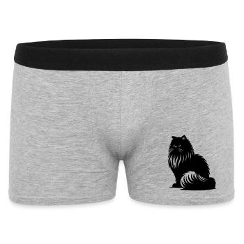 Chat persan - Persan - Boxer Homme - gris chiné - Devant