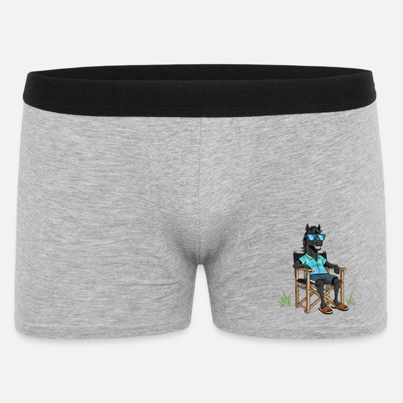 Camiseta de Menorca Lehrstuhl - Männer Boxer Shorts - Grau meliert