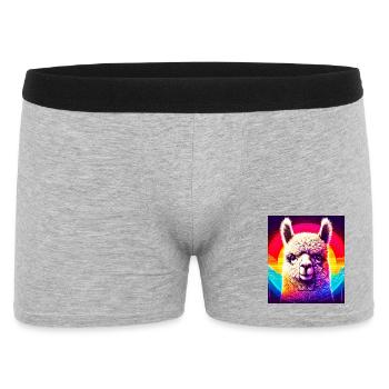 Alpaga - Boxer Homme - gris chiné - Devant