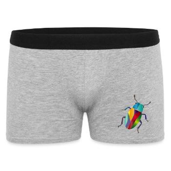 Bunter Juwelkäfer Regenbogen Stil - Men's Boxer Shorts - heather grey - Front