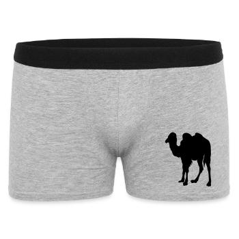 Camel, Camel - Men's Boxer Shorts - heather grey - Front