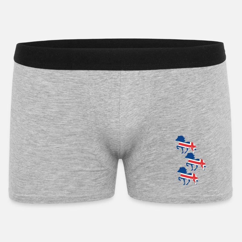 Islandpferd Flagge - Männer Boxer Shorts - Grau meliert