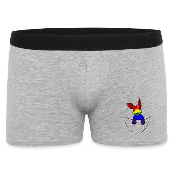 Koala LGBT Drapeau Arc-en-ciel Gay Pride Gay - Boxer Homme - gris chiné - Devant
