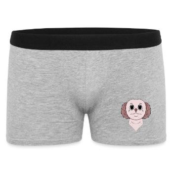 Shih Tzu Chien Race de chien - Boxer Homme - gris chiné - Devant