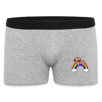 Paresseux arc-en-ciel - Boxer Homme - gris chiné - Devant