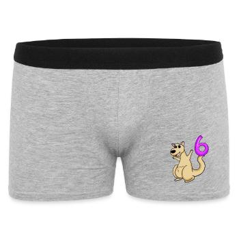 6 Anniversaire 6 ans avec motif animal - six - Boxer Homme - gris chiné - Devant