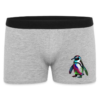 Pingouin - Boxer Homme - gris chiné - Devant