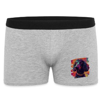 Caniche - Boxer Homme - gris chiné - Devant