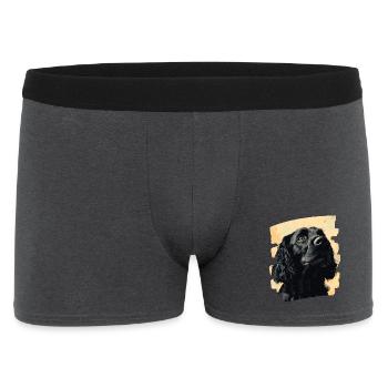 Cocker Spaniel - Boxer Homme - charbon - Devant