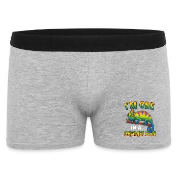 Je suis un dans un jeu de mots drôle de reptile caméléon - Boxer Homme - gris chiné - Devant