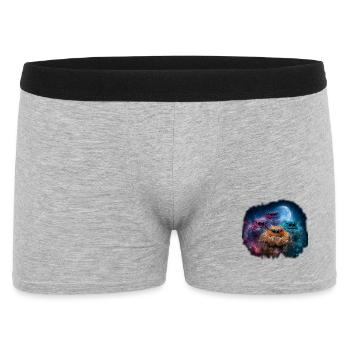 Jumping Spiders Accessories Terrarium Holder Gift - Men's Boxer Shorts - heather grey - Front