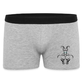 Alpha capricorn Deluxe - Männer Boxer Shorts - Grau meliert - Vorne