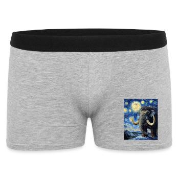 Mammouth Van Gogh Nuit étoilée - Boxer Homme - gris chiné - Devant