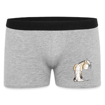 Fjord - Fjording - Fjordhest - Cheval - Boxer Homme - gris chiné - Devant