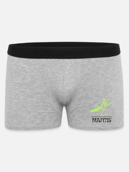 Gottesanbeterin – Illustration für Naturfreunde - Männer Boxer Shorts - Grau meliert