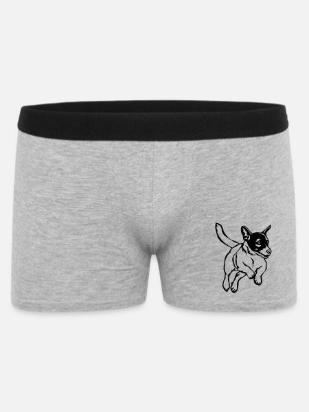 Jack Russell Terrier - Men's Boxer Shorts - heather grey