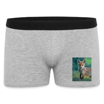 Jeune renard - Boxer Homme - gris chiné - Devant
