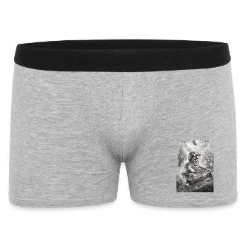 DJ Dog Rocking the Party - Men's Boxer Shorts - heather grey - Front