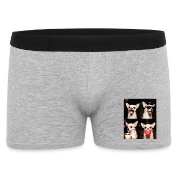Hunde Chihuahua Hund - Männer Boxer Shorts - Grau meliert - Vorne