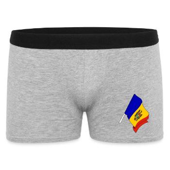 Drapeau de la Moldavie - Boxer Homme - gris chiné - Devant