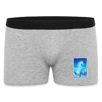 Dragon d’Eau Dragon Fimaro Sonja Ariel von Staden - Boxer Homme - gris chiné - Devant
