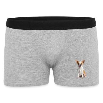 Cute Chihuahua – Small, cheeky & full of heart! - Men's Boxer Shorts - heather grey - Front