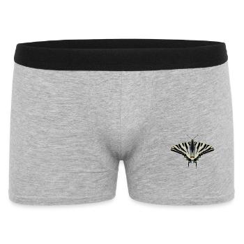 Butterflies: The Sail Butterfly - Men's Boxer Shorts - heather grey - Front