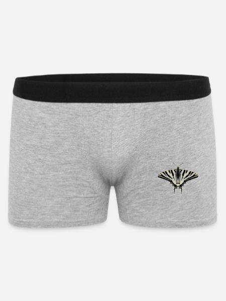 Schmetterlinge: Der Segelfalter - Männer Boxer Shorts - Grau meliert