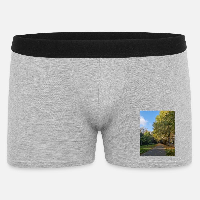 Herbstpfad durch Lauballee - Männer Boxer Shorts - Grau meliert