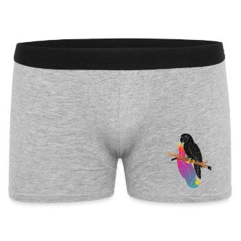 Two Parrots on Branch Cartoon Design - Men's Boxer Shorts - heather grey - Front