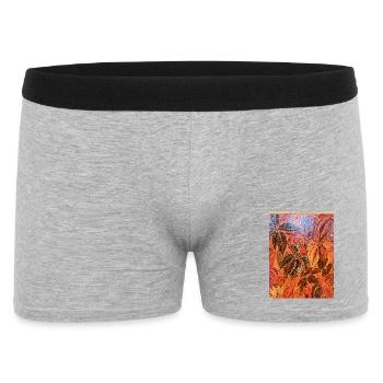Feuilles d’automne Jeu de couleurs - Boxer Homme - gris chiné - Devant